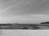 preview bw