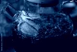 preview cold