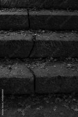 preview bw