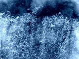 preview cold