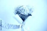 preview cold