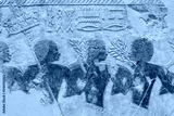 preview cold