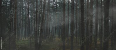 image to crop