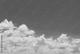 preview bw