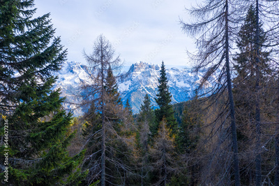 image to crop