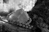 preview bw
