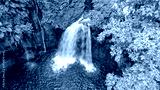 preview cold
