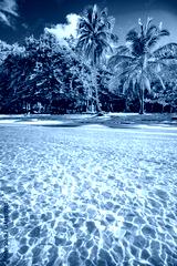 preview cold