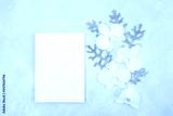 preview cold