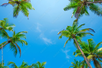 image to crop