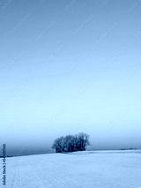 preview cold