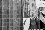 preview bw