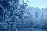 preview cold
