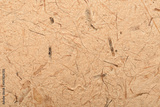 preview original