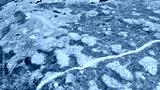 preview cold