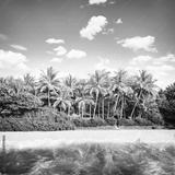 preview bw