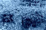 preview cold