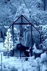 preview cold