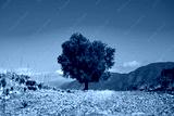 preview cold