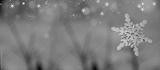 preview bw
