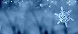 preview cold