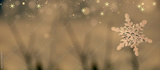 preview original
