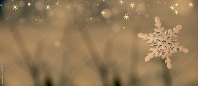 image to crop
