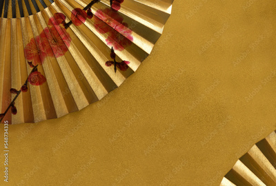 image to crop