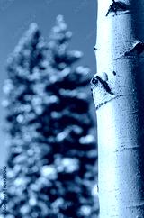 preview cold