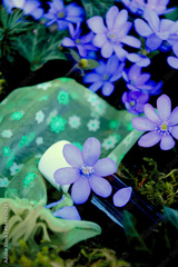 preview original