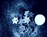 preview cold