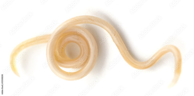 image to crop