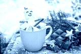 preview cold