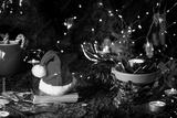 preview bw