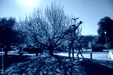 preview cold