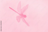 preview original