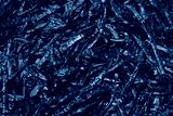 preview cold
