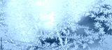 preview cold