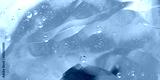 preview cold