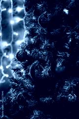 preview cold