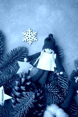 preview cold