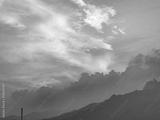 preview bw