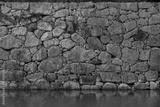 preview bw