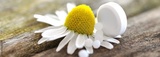 preview original