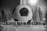 preview bw