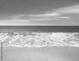 preview bw