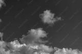 preview bw