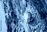 preview cold