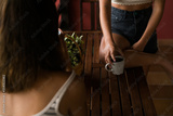 preview original