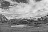 preview bw